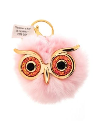 Picture of Owl Keyring