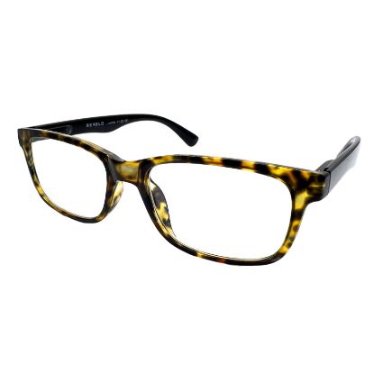 Picture of Serelo Readers Salerno 1.25