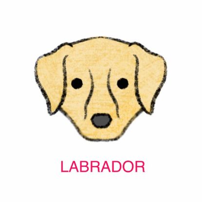 Picture of E&A - Labrador Facecloth