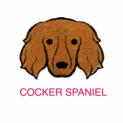 Picture of E&A - Cocker Spaniel Facecloth