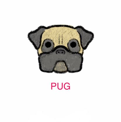 Picture of E&A - Pug Facecloth