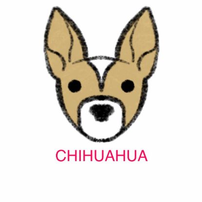 Picture of E&A - Chihuahua Facecloth