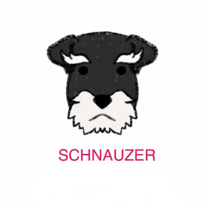 Picture of E&A - Schnauzer Facecloth