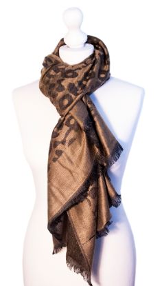 Picture of Believe - Printed Pashmina