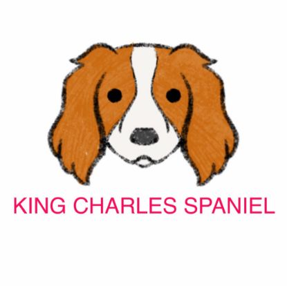 Picture of E&A - King Charles Spaniel Facecloth