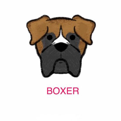 Picture of E&A - Boxer Facecloth