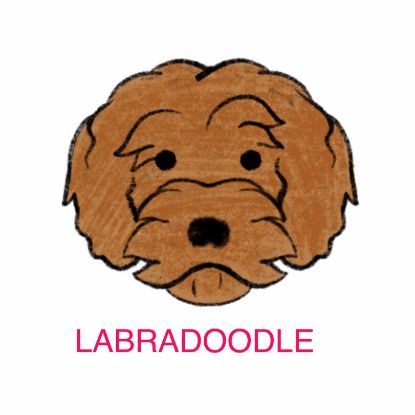 Picture of E&A - Labradoodle Facecloth
