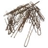 Picture of Serenade - 36 Brown Short Hair Pins
