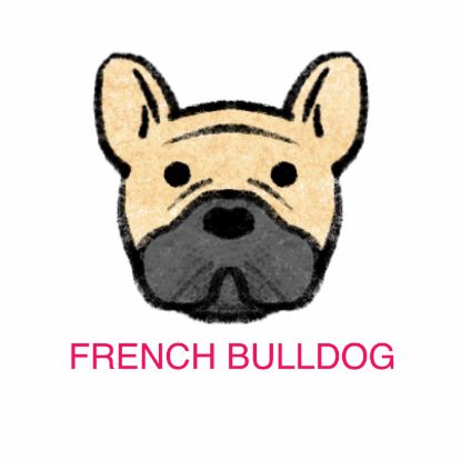 Picture of E&A - French Bulldog Facecloth