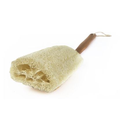Picture of Simply Eco - Long Handled Loofah