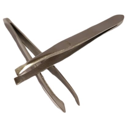 Picture of Serenade - Slanted Tip Tweezers