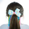 Picture of ICB - Ribbon & Plait Hair Accessories