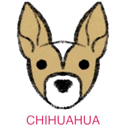 Picture of E&A - Chihuahua Facecloth