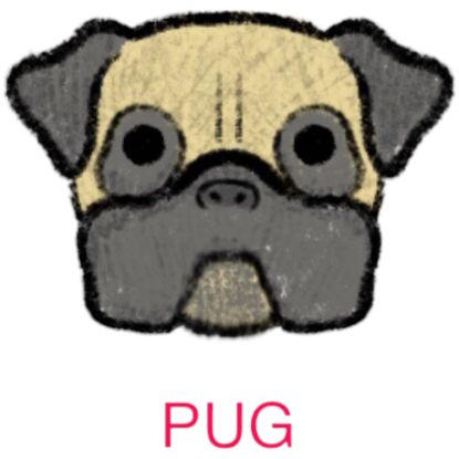 Picture of E&A - Pug Facecloth