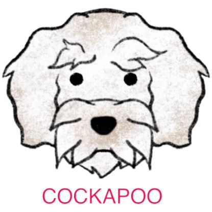 Picture of E&A - Cockapoo Facecloth