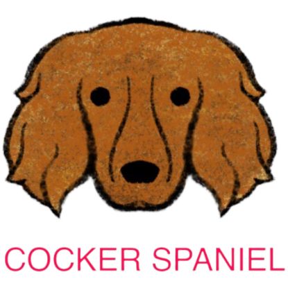 Picture of E&A - Cocker Spaniel Facecloth