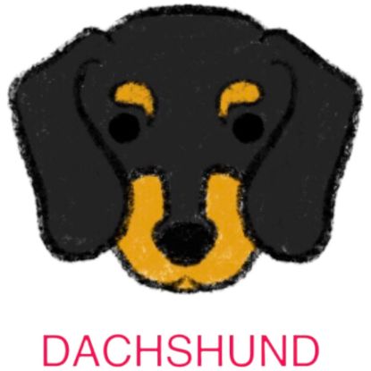 Picture of E&A - Dachshund Facecloth
