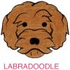 Picture of E&A - Labradoodle Facecloth