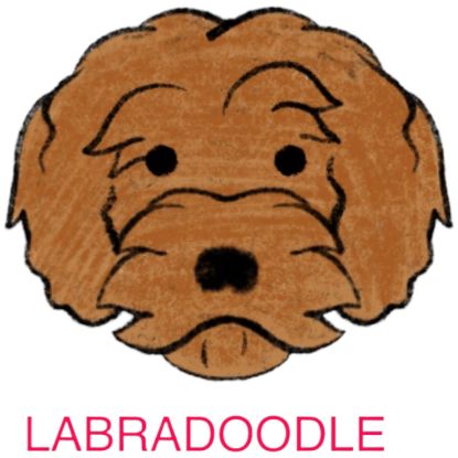 Picture of E&A - Labradoodle Facecloth