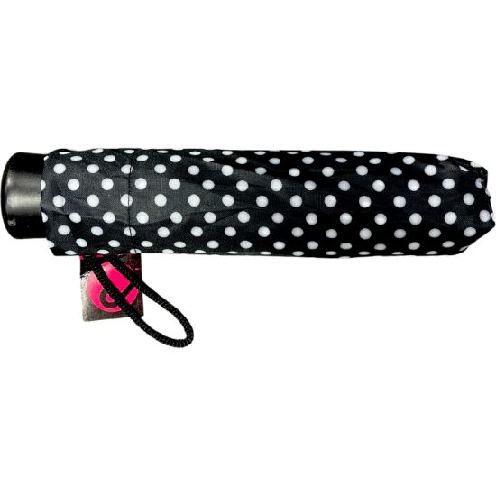 Picture of Spot  Umbrella  Assted