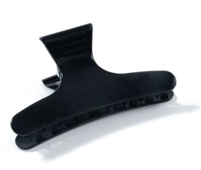 Picture of Serenade - 4pk Hair Clips