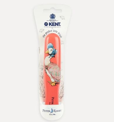 Picture of PR07 Jemima Puddle-Duck Hairbrush