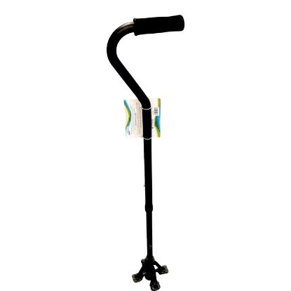 Picture of Black Self Standing Stick