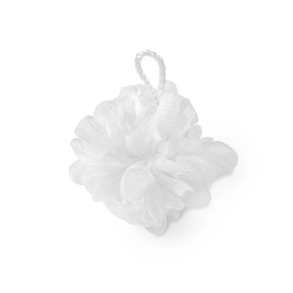 Picture of 11421 Manicare Exfoliating Body Puff